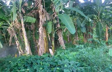 Imagem 4: AREA RESIDENCIAL em RIO DE JANEIRO - RJ, CAMPO GRANDE