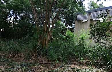 Imagem 4: TERRENO COMERCIAL em RIO DE JANEIRO - RJ, CAMPO GRANDE