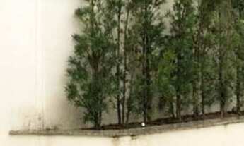 Imagem: APARTAMENTO RESIDENCIAL em Campo Grande