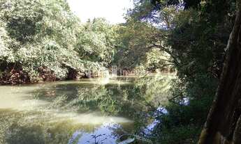 Imagem 4: Chacara No Distrito de Cachoeirão -MS (500 mts do Rio