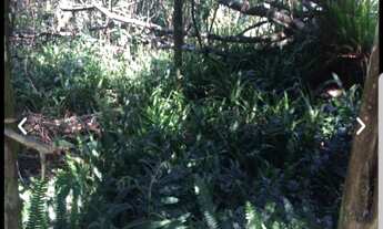 Imagem 5: Terreno semi plano 4.400m2 em condominio Comary