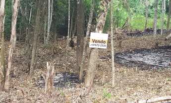 Imagem 2: Terreno semi plano em Teresópolis Granja Mafra