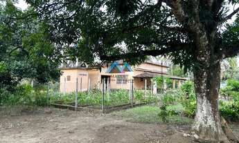 Imagem 6: Maravilhoso sítio com 2 casas, 7.882 m² à venda em Santa Cândida, em Itaguaí