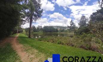 Imagem 4: 1000M² de Área Total na Rodovia Leonidio De Souza Barros