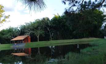 Imagem 6: 1000M² de Área Total na Rodovia Leonidio De Souza Barros