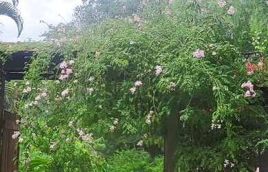 Imagem: Chácara para Venda em Araçoiaba da Serra