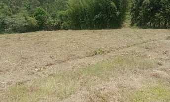 Imagem 4: Terreno para Venda em São Miguel Arcanjo / SP no bairro Abaitinga