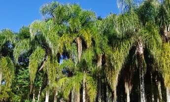 Imagem: CHÁCARA RESIDENCIAL em SÃO ROQUE - SP