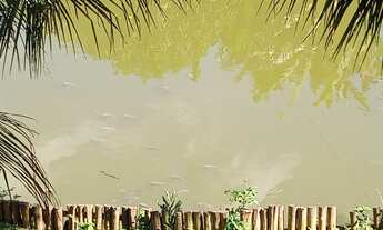 Imagem 4: SITIO RURAL em DOMINGOS MARTINS - ES, BAIRRO DAS PANELAS