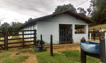 Imagem 4: Fazenda a Venda em Bragança 3 Quartos, 4 Banheiros, 20 Vagas de Garagem, 912.000 m² de Áre