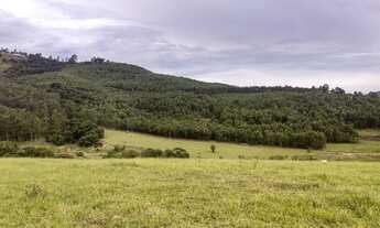 Imagem 2: Fazenda a Venda em Bragança 3 Quartos, 4 Banheiros, 20 Vagas de Garagem, 912.000 m² de Áre