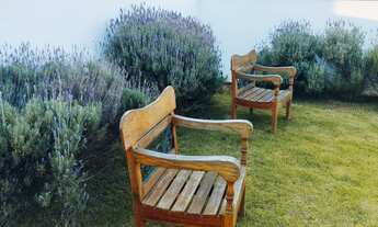 Imagem 5: 2 dormitórios na Rua Adria