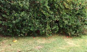 Imagem 6: CASA RESIDENCIAL em Araçoiaba da Serra - SP, Condominio Village Ipanema