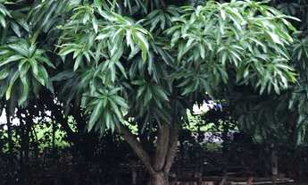 Imagem 7: CASA RESIDENCIAL em Araçoiaba da Serra - SP, Condominio Village Ipanema