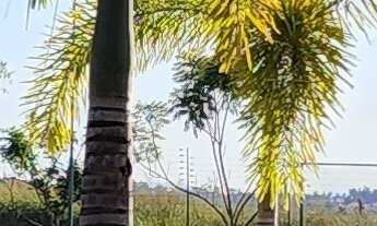 Imagem: TERRENO RESIDENCIAL em VOTORANTIM - SP