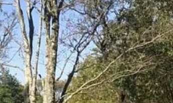 Imagem: TERRENO RESIDENCIAL em VOTORANTIM - SP