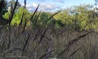 Imagem 3: CASA RURAL em SOROCABA - SP, Jardim Josane