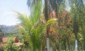 Imagem 5: Sítio a 4 km antes de Rifaina