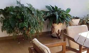 Imagem: Casa no Centro de Franca por R$ 1.200.000