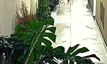 Imagem 2: Casa no Zanetti Casa com 3 dormitórios