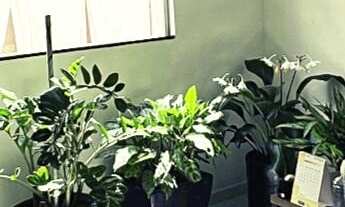 Imagem 4: Casa no Zanetti Casa com 3 dormitórios