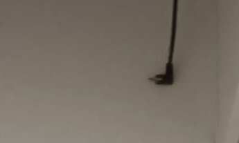 Imagem 6: Apartamento no Residencial Amazonas por R$ 750.000,00