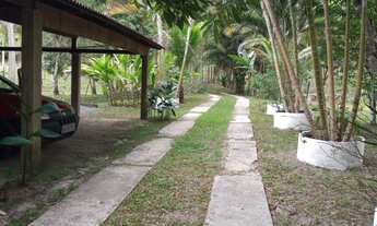 Imagem 4: Sítio com 7,2 hectares em Jacupiranga