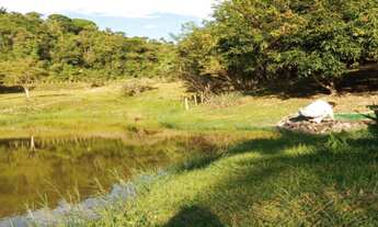 Imagem 2: Sítio com 7,2 hectares em Jacupiranga