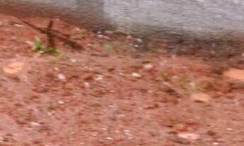 Imagem 3: EXCELENTE TERRENO À VENDA NO VISTA ALEGRE