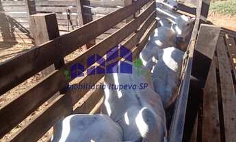 Imagem 3: Fazenda à Venda em São Lourenço-MG: 2 quartos, 2 banheiros, 2.032.800,00 m² no Centro da c