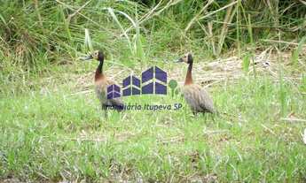 Imagem 3: Terreno à venda em Itupeva-SP, bairro Chácaras do Guacuri, com 43.006,00 m² de área! Aprov