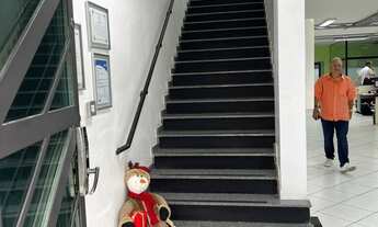 Imagem 3: PONTO COMERCIAL em SÃO PAULO - SP, TATUAPÉ