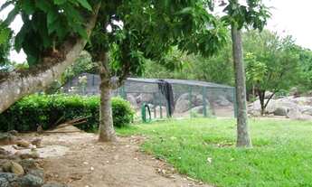 Imagem 3: Sitio a venda, tombadouro , indaiatuba