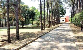 Imagem 3: CH00396- Oportunidade para você que deseja investir ou viver em volta de muita área verde