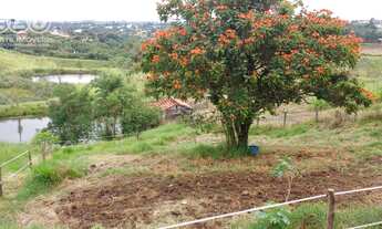 Imagem 4: OPORTUNIDADE ! SÍTIO A VENDA EM ITAICI - INDAIATUBA/SP