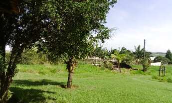 Imagem 7: SÍTIO RURAL em CARDEAL - SP, CARDEAL