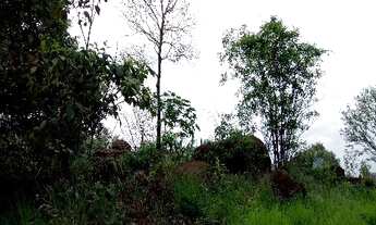 Imagem 6: TERRENO RESIDENCIAL em INDAIATUBA - SP, VALE DAS LARANJEIRAS