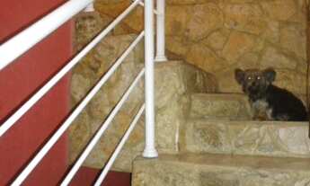 Imagem 7: CASA RESIDENCIAL em INDAIATUBA - SP, JARDIM ALICE