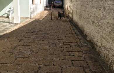 Imagem 4: CASA RESIDENCIAL em INDAIATUBA - SP, CIDADE NOVA