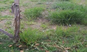 Imagem: TERRENO COMERCIAL em Indaiatuba - SP, Campo