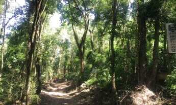 Imagem 5: SÍTIO RURAL em INDAIATUBA - SP, SITIO RIO NEGRO