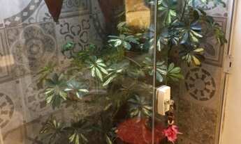 Imagem 4: CASA RESIDENCIAL em INDAIATUBA - SP, RESIDENCIAL MONTE VERDE