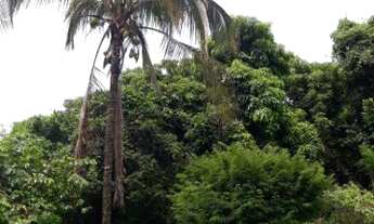 Imagem 4: CHÁCARA RESIDENCIAL em INDAIATUBA - SP, RECANTO CAMPESTRE INTERNACIONAL DE VIRACOPOS GLEBA