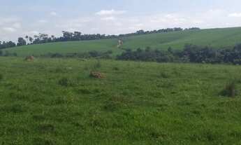 Imagem 2: SÍTIO RURAL em Elias Fausto - SP, Chave Stein