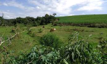 Imagem 3: SÍTIO RURAL em Elias Fausto - SP, Chave Stein