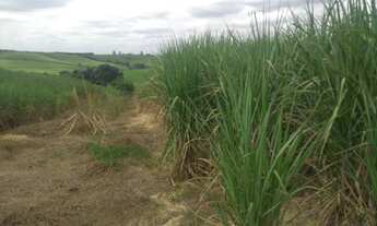 Imagem 5: SÍTIO RURAL em Elias Fausto - SP, Chave Stein