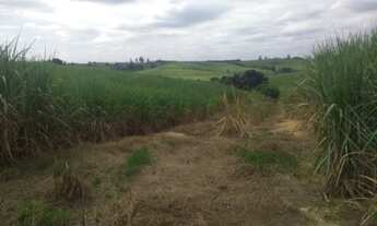 Imagem 7: SÍTIO RURAL em Elias Fausto - SP, Chave Stein