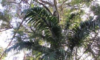 Imagem 4: CHÁCARA RESIDENCIAL em INDAIATUBA - SP, LAGOS DE SHANADU