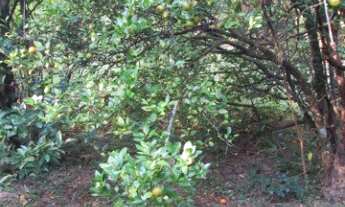 Imagem 6: CHÁCARA RESIDENCIAL em INDAIATUBA - SP, LAGOS DE SHANADU