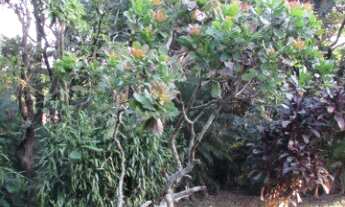 Imagem 7: CHÁCARA RESIDENCIAL em INDAIATUBA - SP, LAGOS DE SHANADU